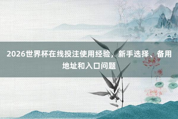 2026世界杯在线投注使用经验，新手选择、备用地址和入口问题