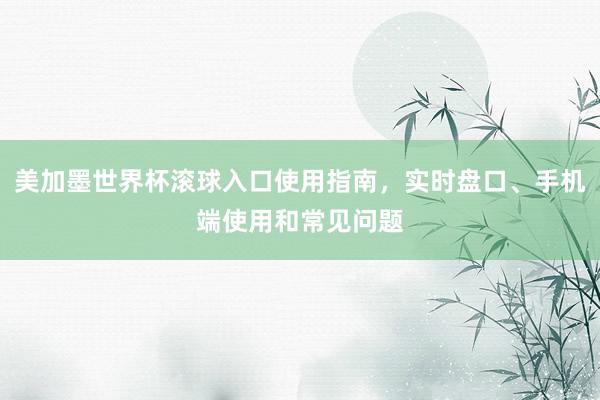 美加墨世界杯滚球入口使用指南，实时盘口、手机端使用和常见问题